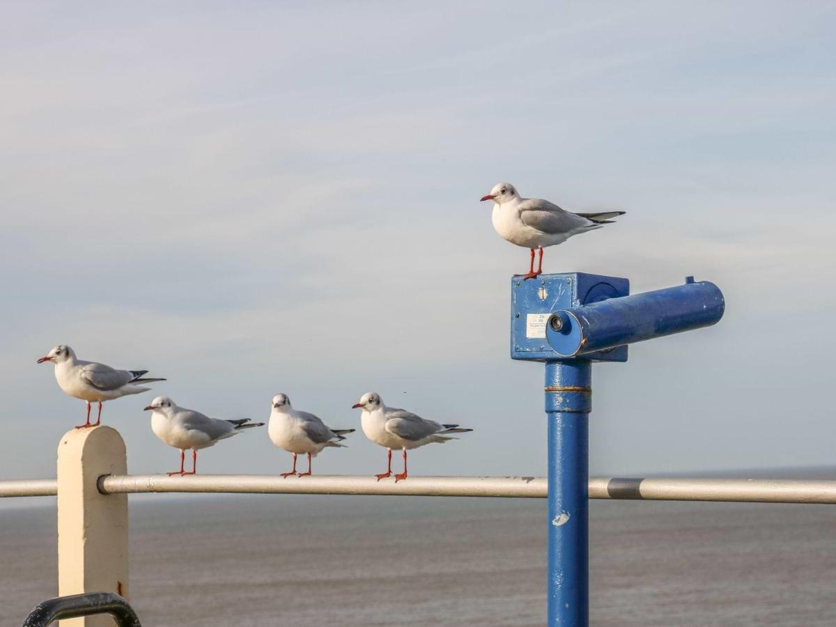 Willa Robins Nest Cromer Zewnętrze zdjęcie